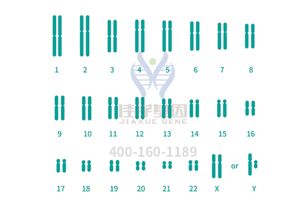 【佳学基因案例】杜氏肌营养不良基因检测、基因解码